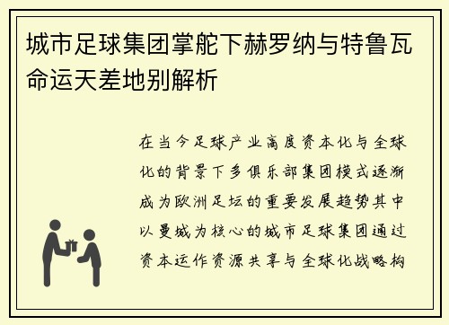 城市足球集团掌舵下赫罗纳与特鲁瓦命运天差地别解析
